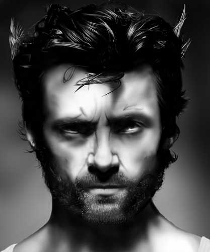 Wolverine Portrait